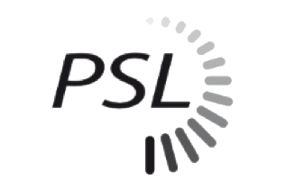 Brand Psl